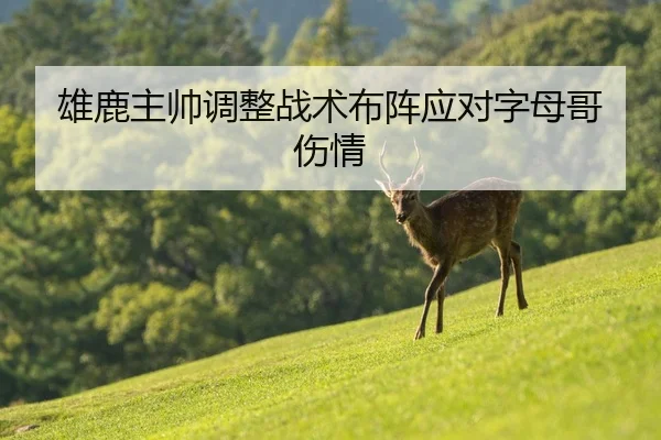 雄鹿主帅调整战术布阵应对字母哥伤情