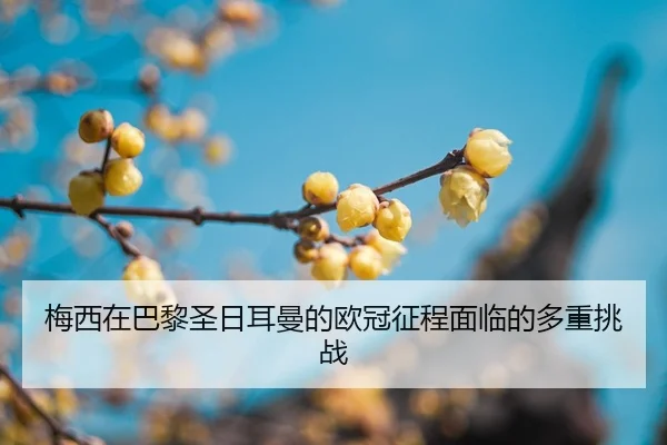 mei-xi-zai-ba-li-sheng-ri-er-man-de-ou-guan-zheng-cheng-mian-lin-de-duo-zhong-tiao-zhan-2-767.jpg
